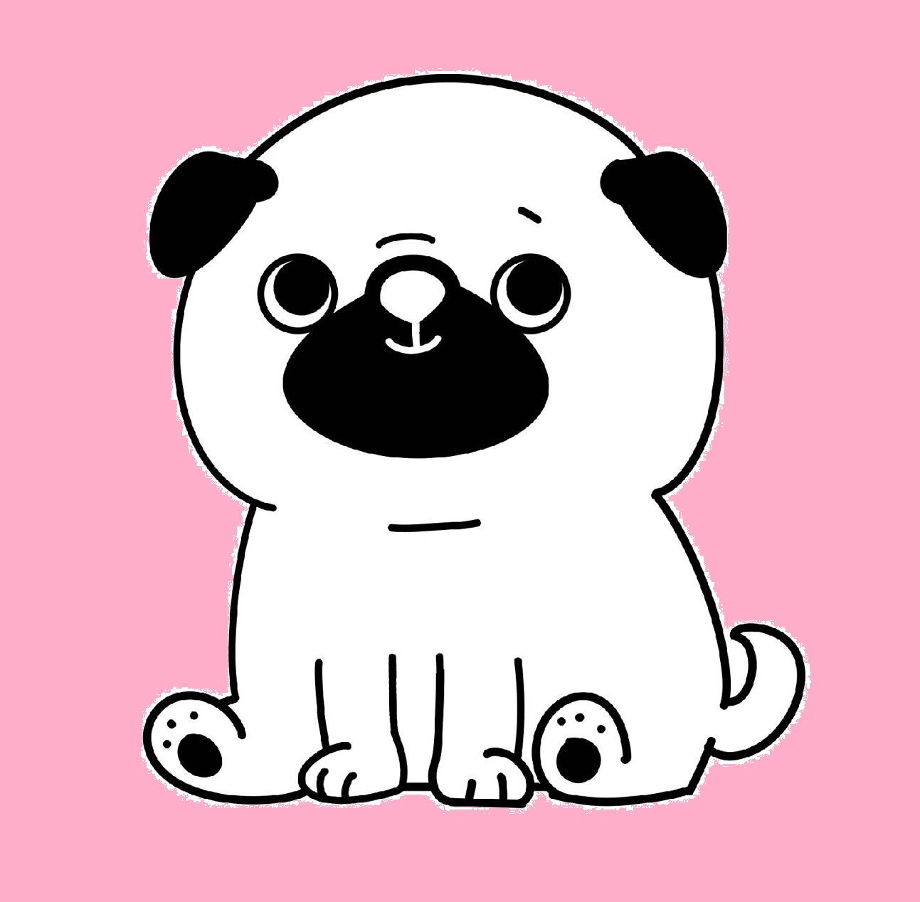 【coming soon】中庭×ガレージがある家 完成見学会