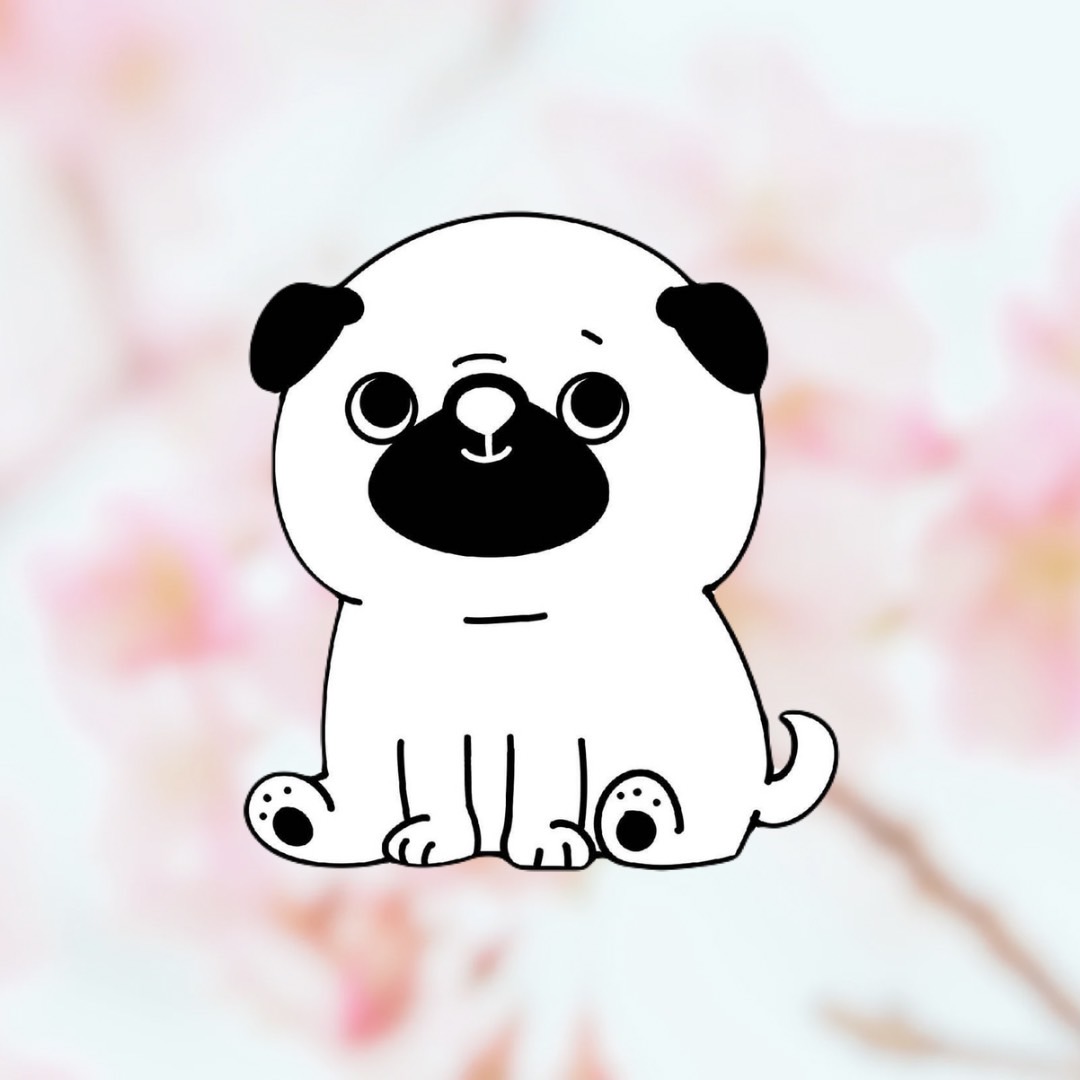 【coming soon】平屋 vs 2階建て